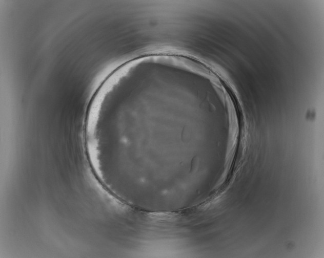 X0000115100863200911171239