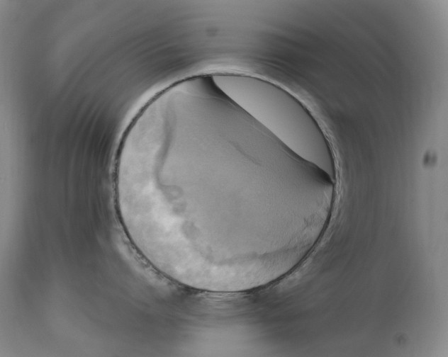 X0000115100864200911171239