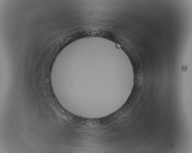 X0000115100865200911171238