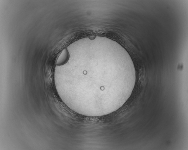 X0000115100866200911171238