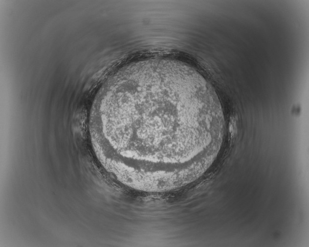 X0000115100867200911171238