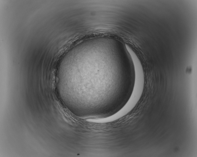 X0000115100868200911171238