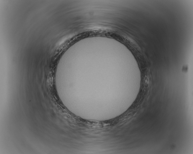 X0000115100869200911171238