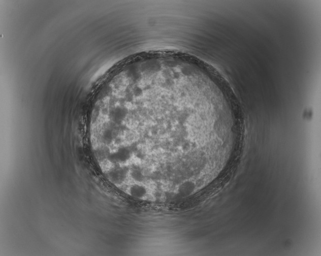 X0000115100871200911171238