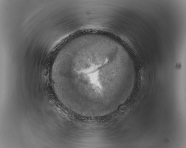 X0000115100872200911171238