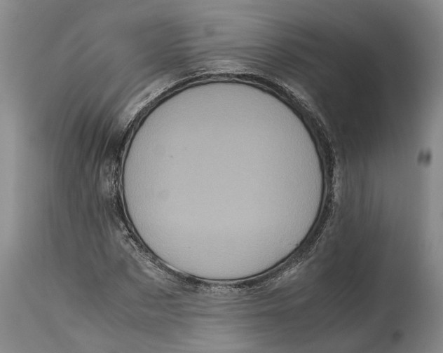 X0000115100873200911171238