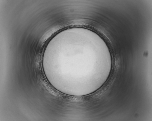 X0000115100874200911171238