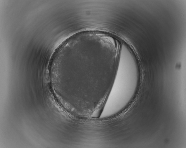 X0000115100876200911171238