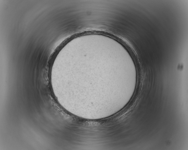 X0000115100878200911171238