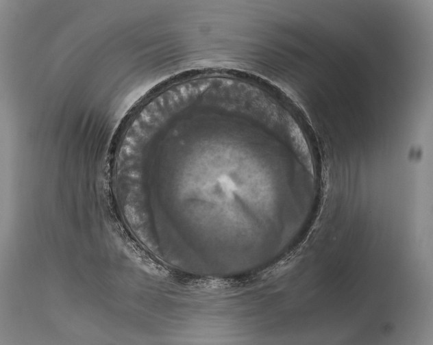 X0000115100879200911171238