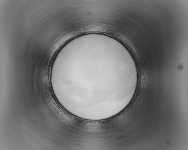 X0000115100882200911171238