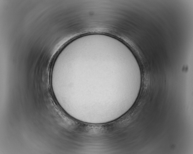 X0000115100886200911171238