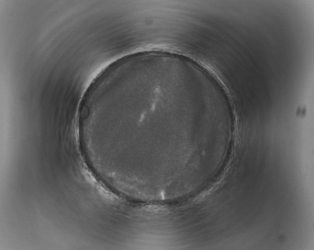 X0000115100888200911171238