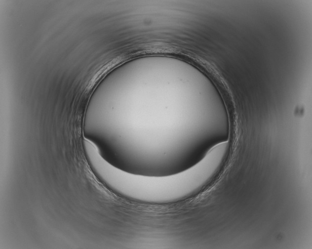 X0000115100889200911171238