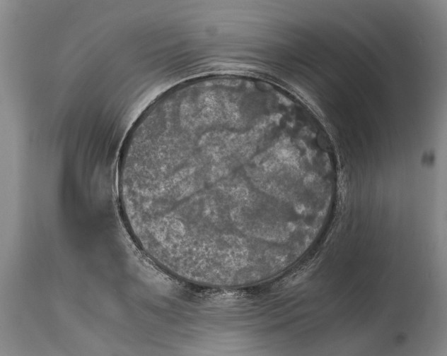 X0000115100891200911171238