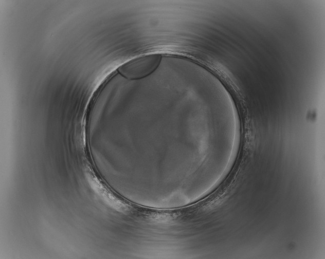 X0000115100892200911171238