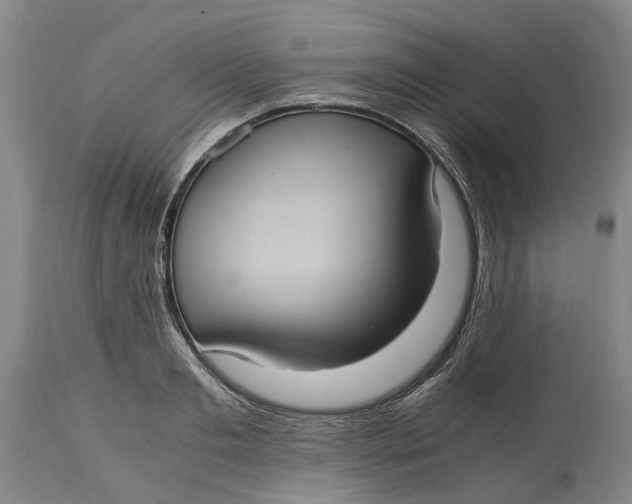 X0000115100893200911171238