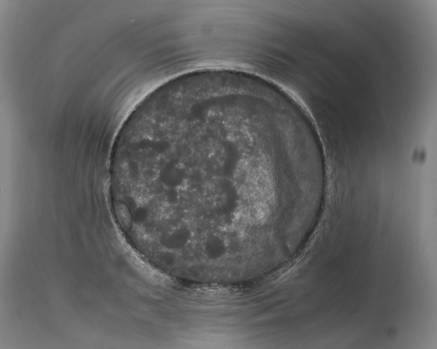 X0000115100895200911171238