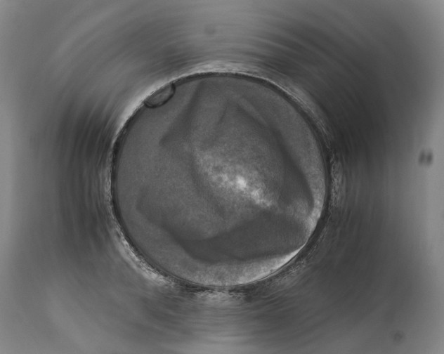 X0000115100896200911171238