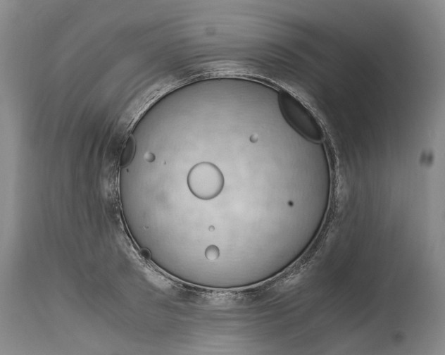 X0000115100897200911171238