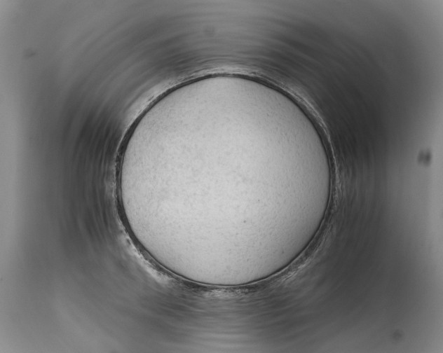 X0000115100898200911171238