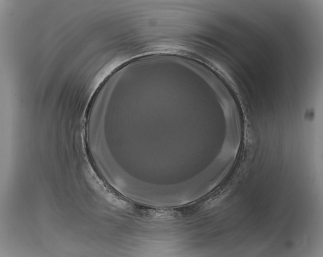 X0000115100899200911171238