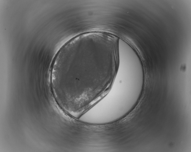 X0000115100900200911171238