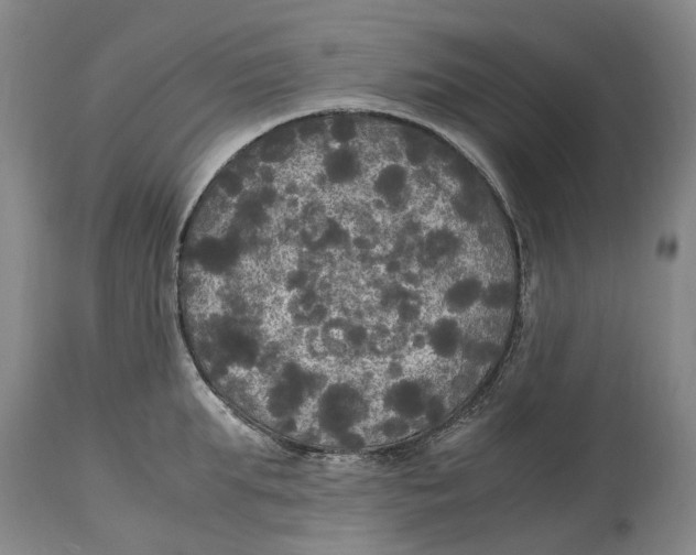 X0000115100903200911171238