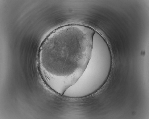 X0000115100904200911171238