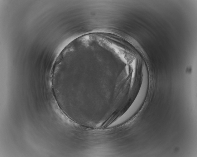 X0000115100908200911171238