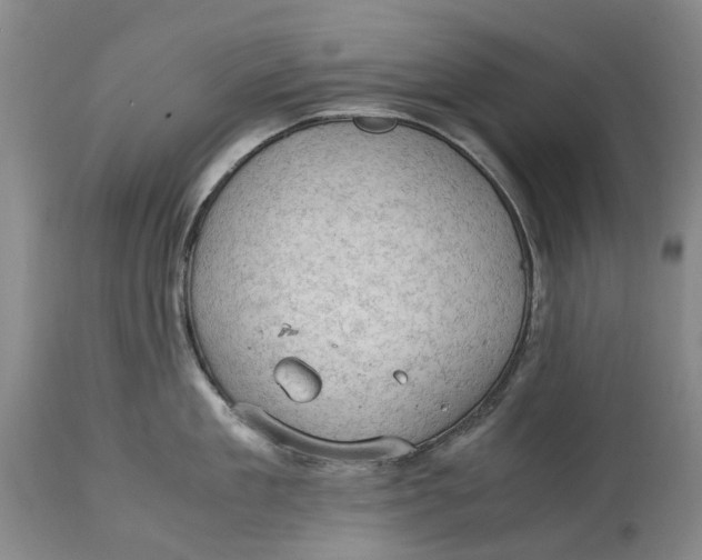 X0000115100909200911171237