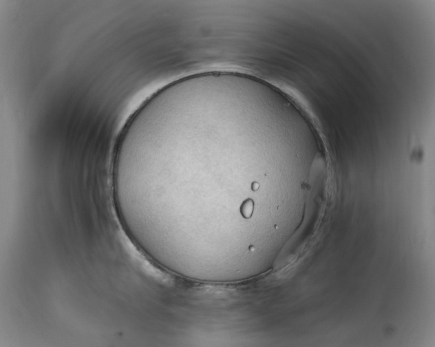 X0000115100910200911171237