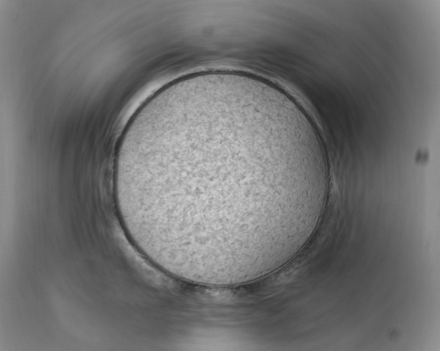 X0000115100911200911171237