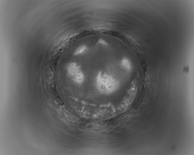 X0000115100917200911171237