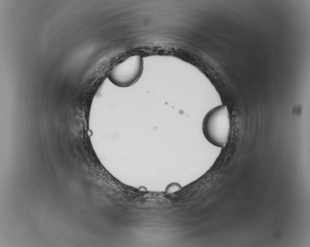 X0000115100918200911171237