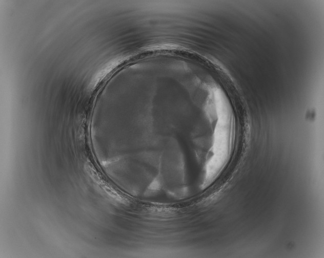 X0000115100921200911171237