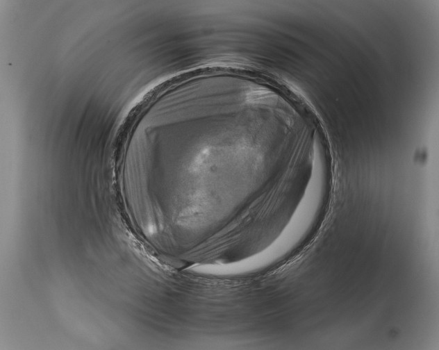 X0000115100923200911171237