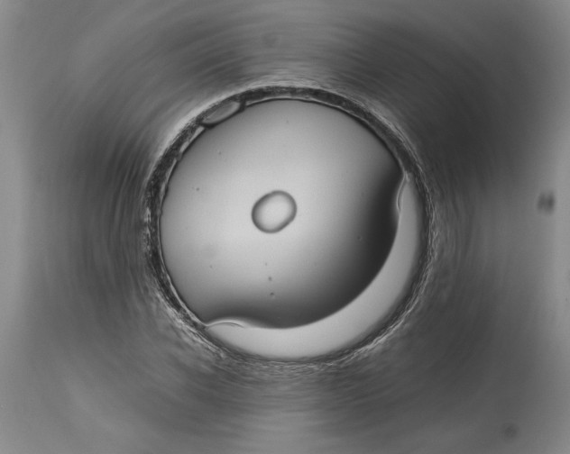 X0000115100926200911171237