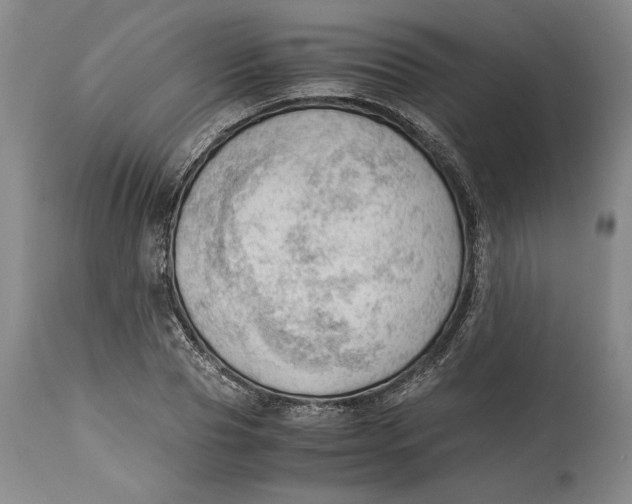 X0000115100929200911171237