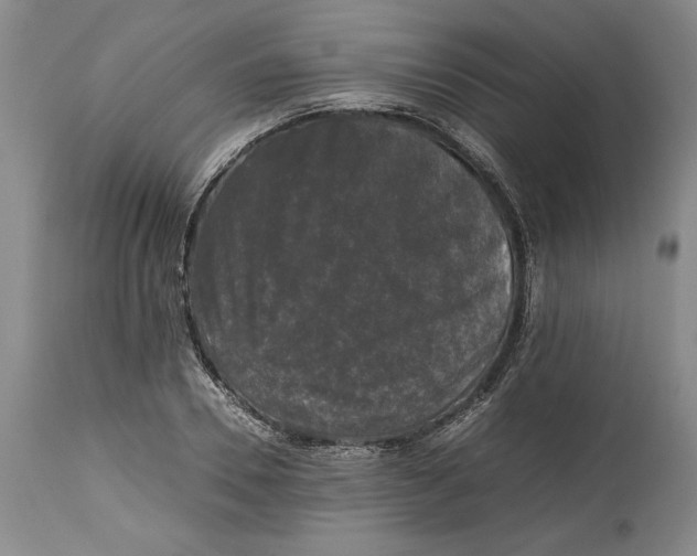 X0000115100930200911171237