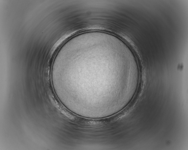 X0000115100933200911171237