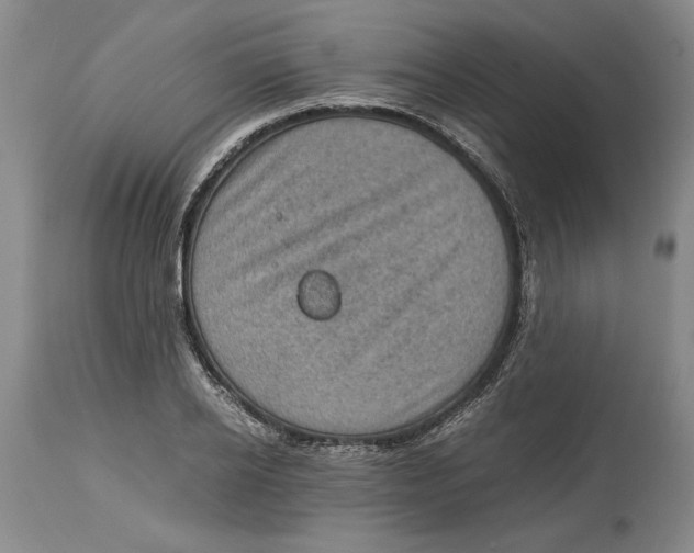 X0000115100934200911171237