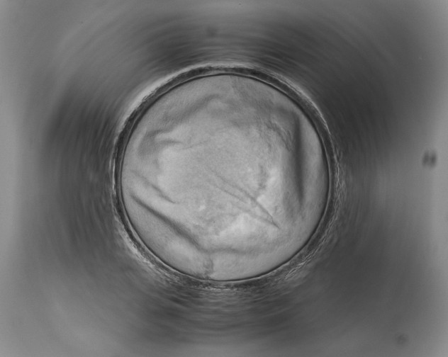 X0000115100935200911171237