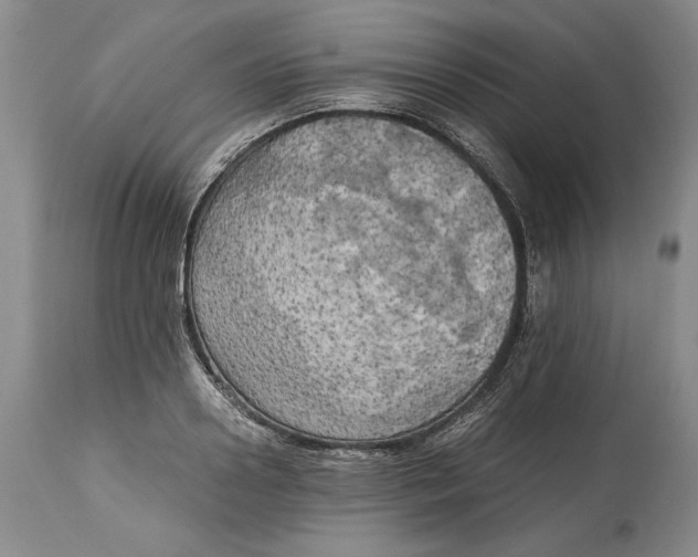 X0000115100938200911171237