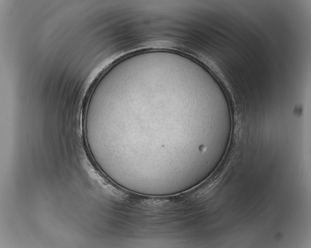 X0000115100939200911171237