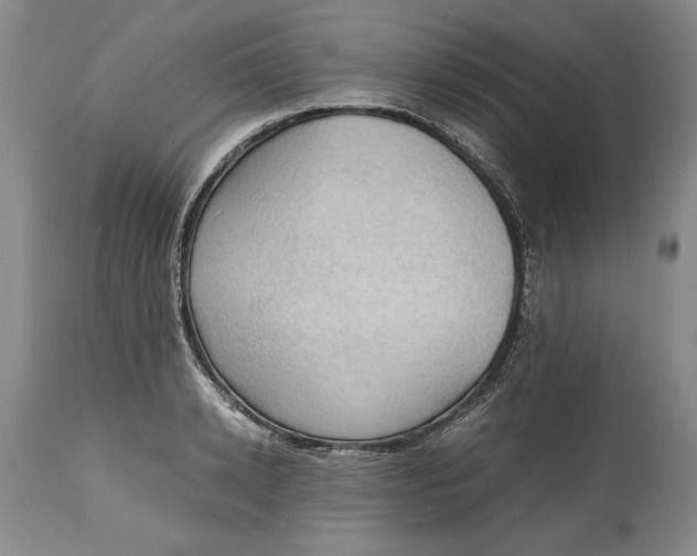 X0000115100942200911171237