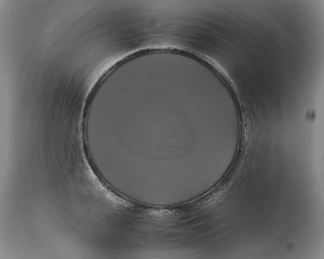 X0000115100943200911171237