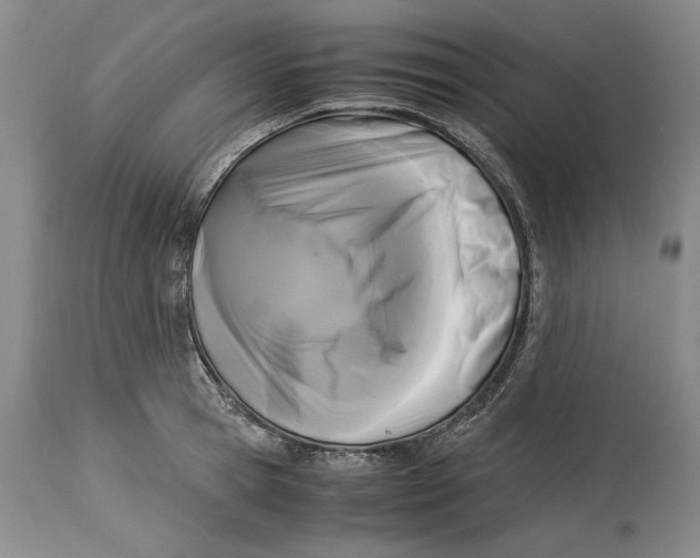 X0000115100945200911171237