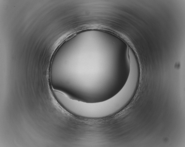 X0000115100946200911171237