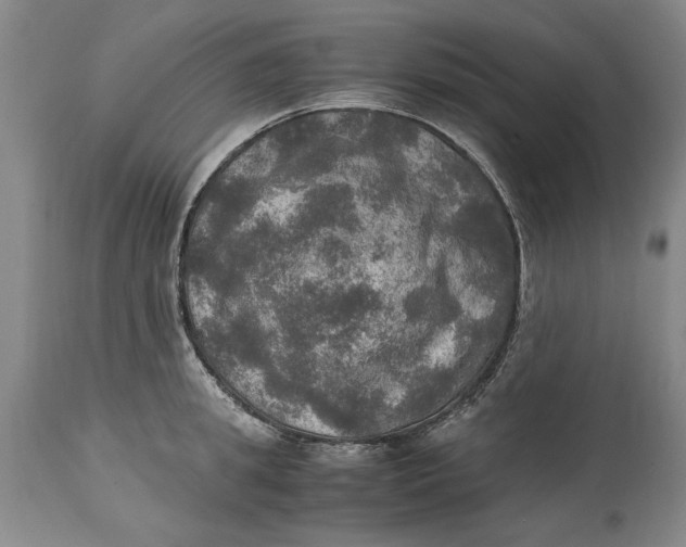 X0000115100949200911171237